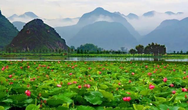 云南“桃源”旅居：推荐5个宜养宜旅的避世乡村