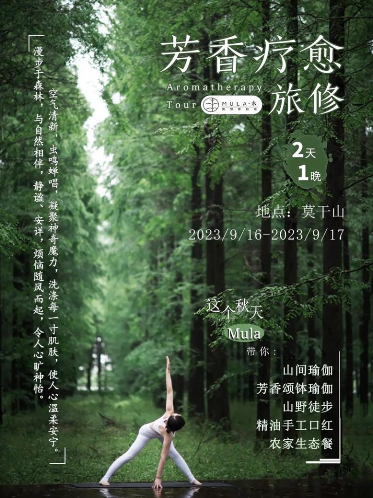 疗愈成为显学，谁在乘风而起？