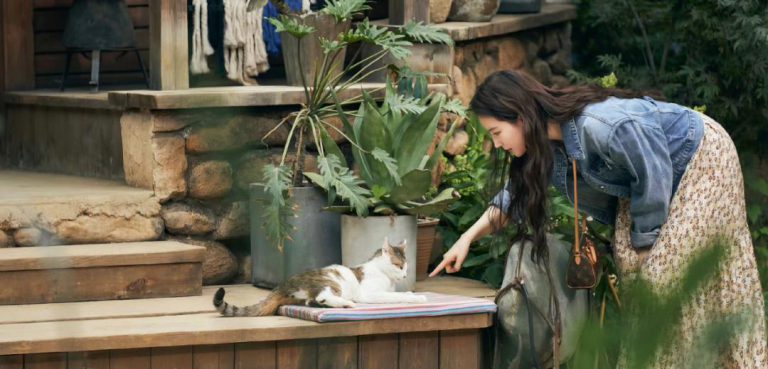 打工人在996，新富人去旅居